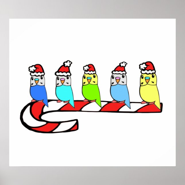 Póster Budgies-Navidades (Frente)