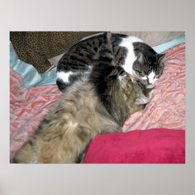 Póster Budistas de madrugada (Frente)