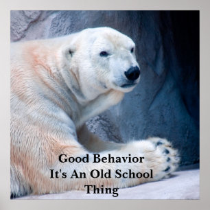 Póster Buen BehaviorI