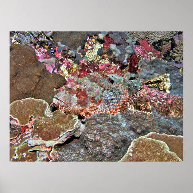 Póster Buen Camo (Frente)