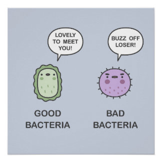 Póster Buenas bacterias, malas bacterias