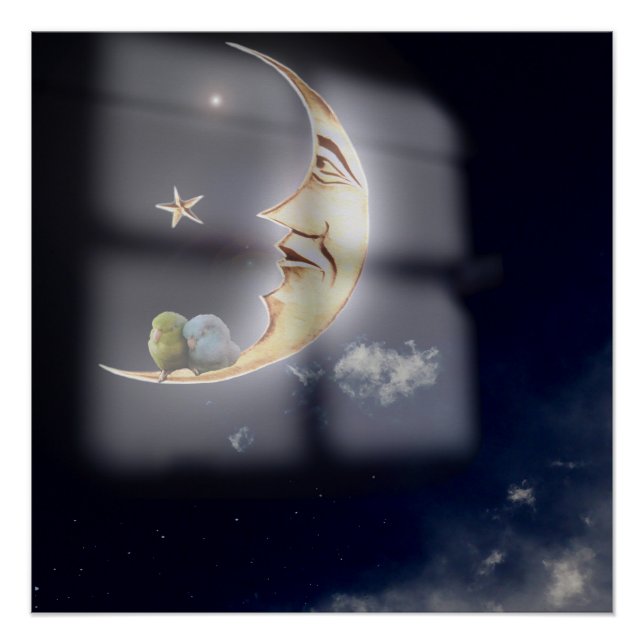 Póster Buenas noches y dulces sueños Arte de periquitos d (Anverso)