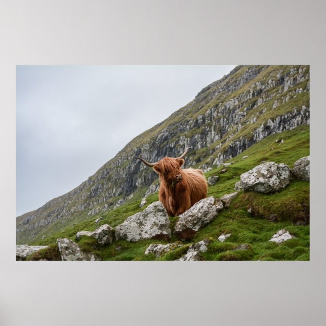 PÓSTER BUENO MARRÓN EN MONTAÑA (Frente)