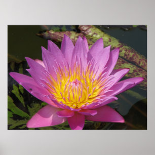 Póster Buenos días