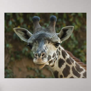 Póster Buenos días amigo