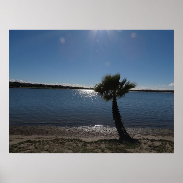 Póster Buenos días de San Diego en la playa. (Frente)