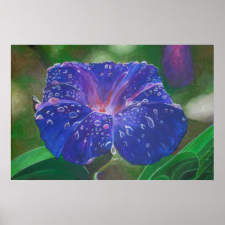Póster Buenos días Pétalos de Gloria (Ipomoea Purpurea) y