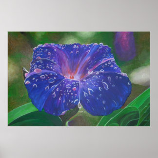 Póster Buenos días Pétalos de Gloria (Ipomoea Purpurea) y