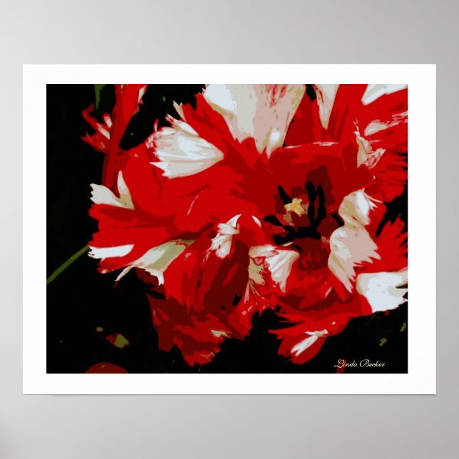 Póster Buenos días Starshine de Linda Becker (Frente)