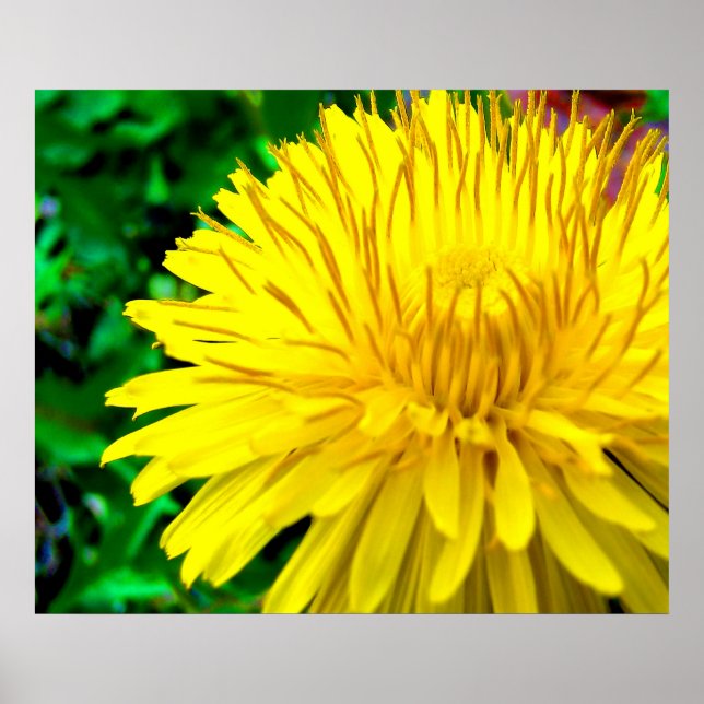 Póster Buenos días Sunshine (Frente)
