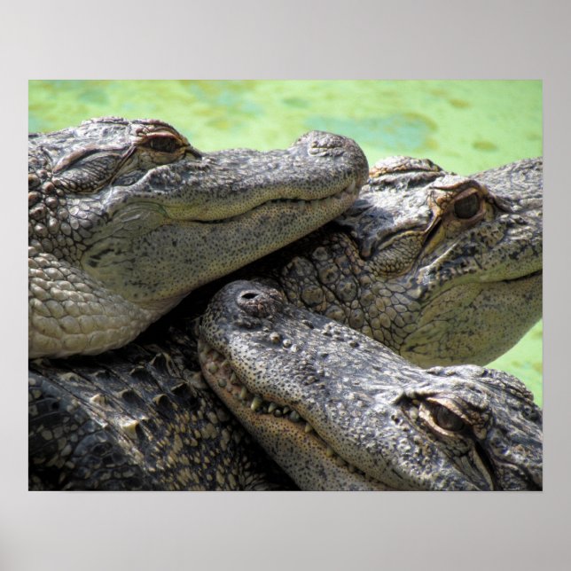 Póster Buenos tiempos (Frente)