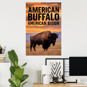 Póster Búfalo bisonte americano