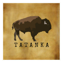 Búfalo nativo americano | Bison | Dibujo de Tatank