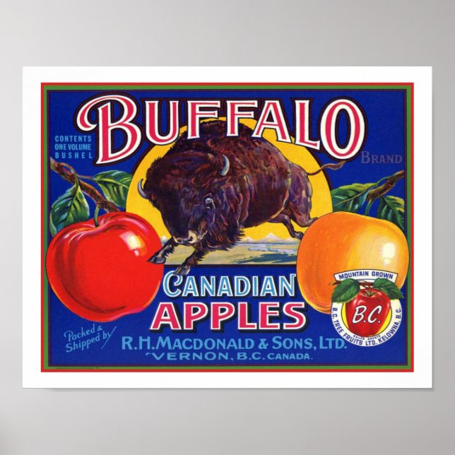 Póster Búfalo vintage manzanas canadienses (Frente)