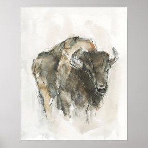 Póster Buffalo americano I