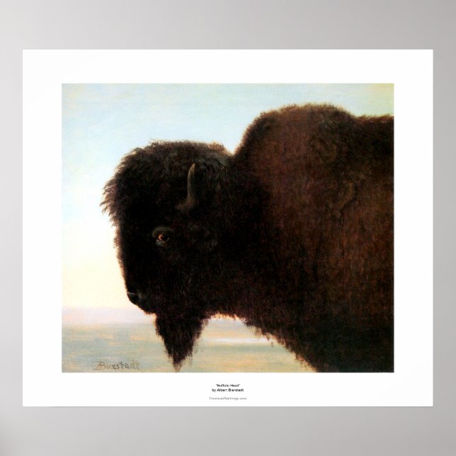 Póster Buffalo Head art Albert Bierstadt bison painting (Frente)