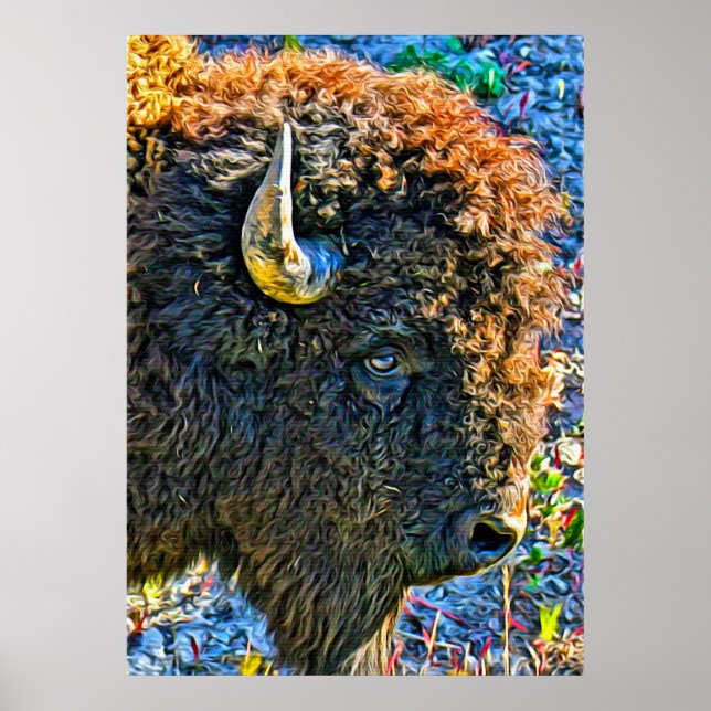 Póster Buffalo Soul (Frente)