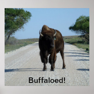 Póster ¡Buffaloso!