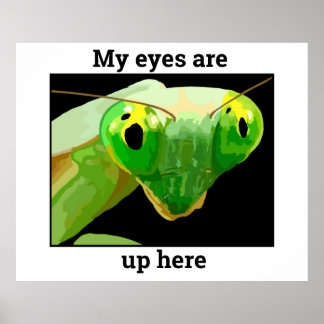 Póster Bug 2