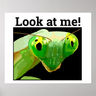 PÓSTER BUG 3