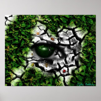 Póster Bug-Ojo