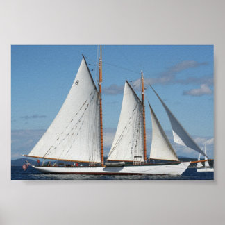 Póster Buget Sound Sailboat