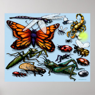 Póster Bugs