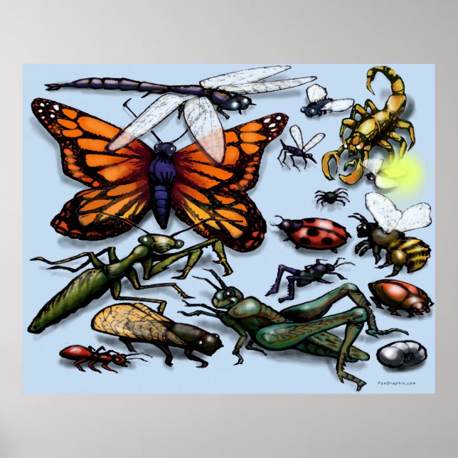Póster Bugs (Frente)