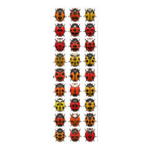 Bugs, Bugs, Bugs - Patrón de fallos