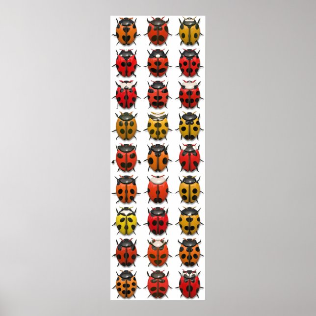 Póster Bugs, Bugs, Bugs - Patrón de fallos (Frente)