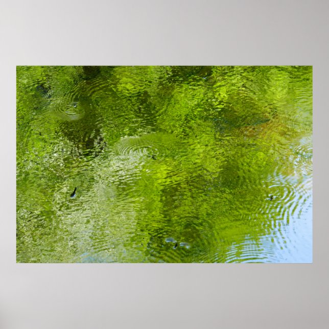 Póster Bugs de Agua en el Parque Estatal Laurel Hill (Frente)