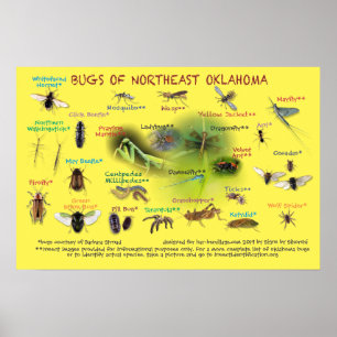 Póster bugs of northeast Oklahoma poster 19p