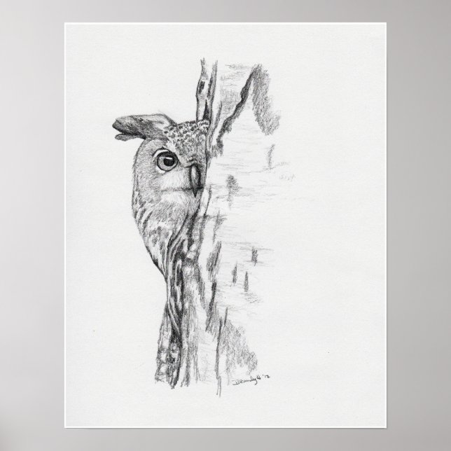 Póster Búho de búsqueda" (Frente)