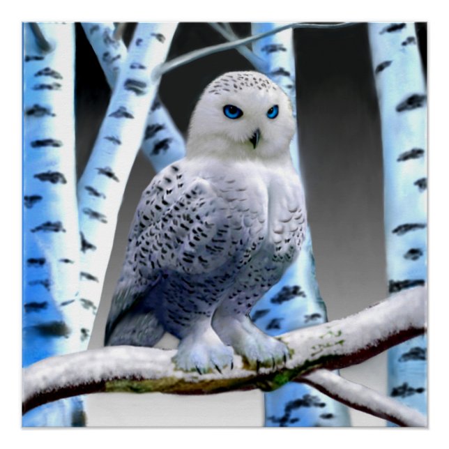 PÓSTER BÚHO DE NIEVE DE OJOS AZULES (Anverso)