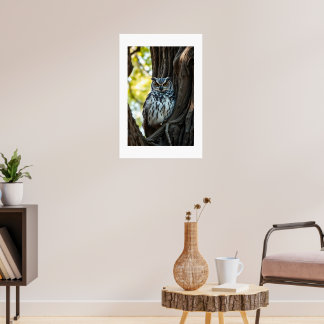 Póster Búho descansando en un árbol