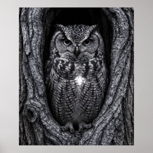 Póster Búho en un árbol Hollow Black and White