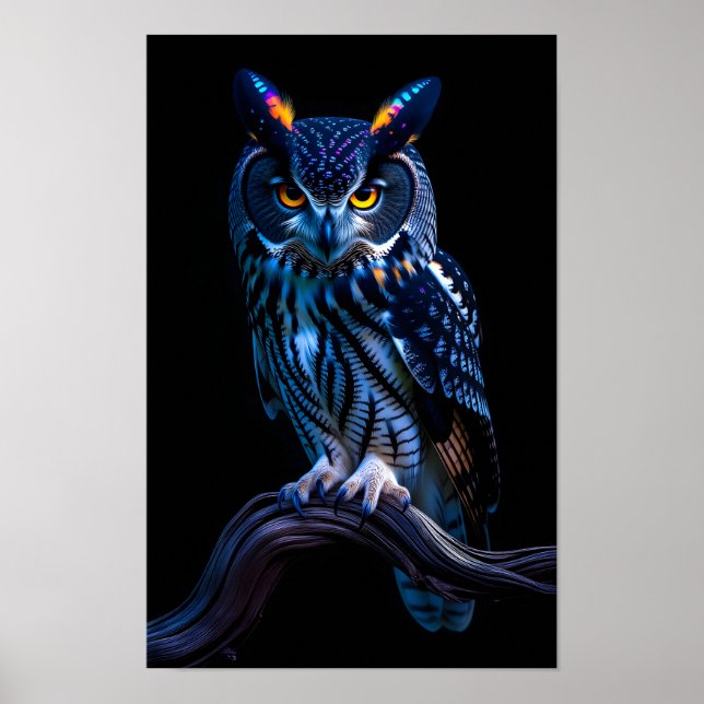 Póster Búho Hermoso (Frente)