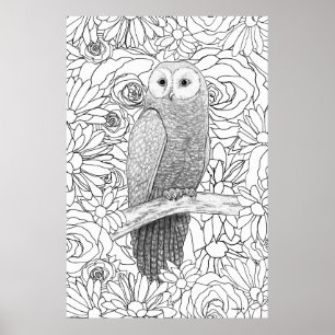 Póster Búho Nocturno