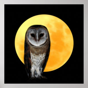 Póster Búho y la luna llena