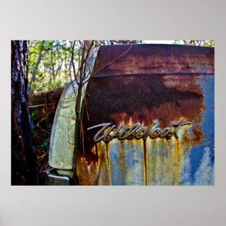 Póster Buick Wildcat