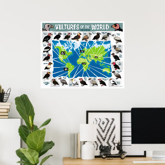 Póster Buitres del Mapa del Mundo