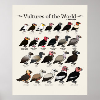 Póster Buitres del mundo por Birdorable