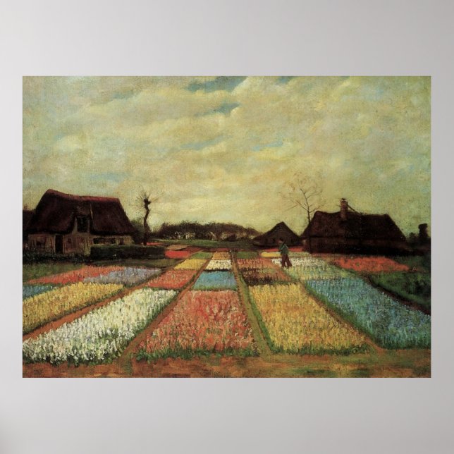 Póster Bulb Fields por Vincent van Gogh. (Frente)