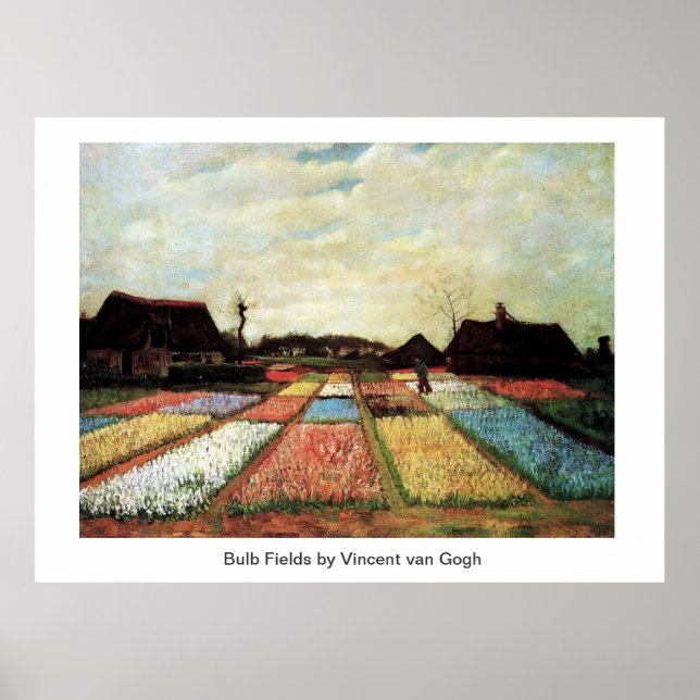 Póster Bulb Fields por Vincent van Gogh. (Frente)