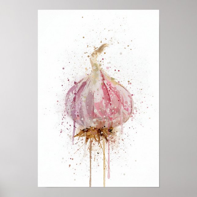 Póster Bulbo de Ajo Vegetal (Frente)