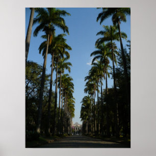 Póster Bulevar de la palmera