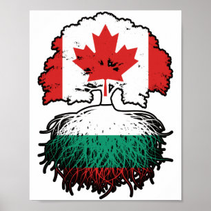 Póster Bulgaria Bandera de raíces de árbol canadiense búl