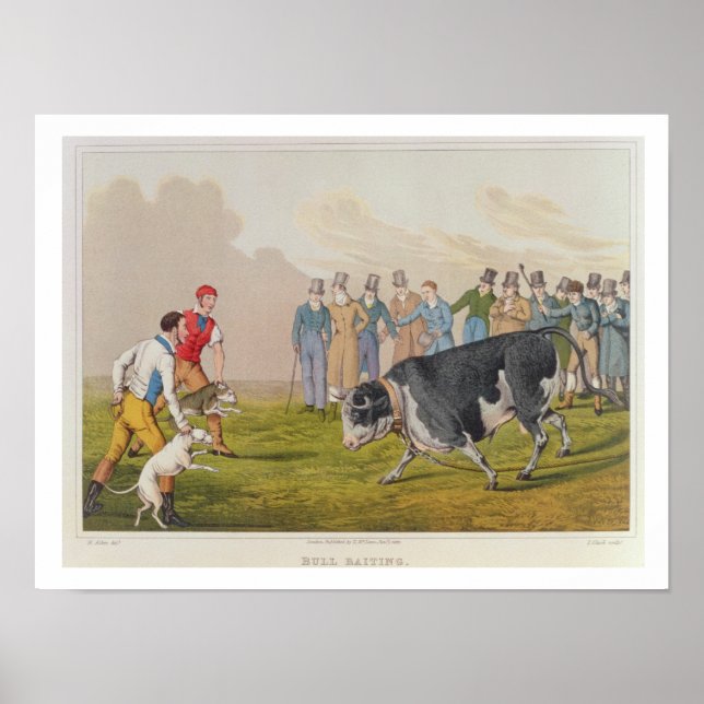Póster 'Bull Baiting', pub. por Thomas McLean, 1820, (imp (Frente)
