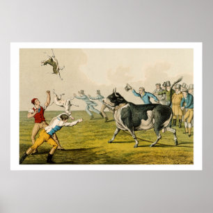 Póster 'Bull Baiting', pub. por Thomas McLean, 1820, (pri