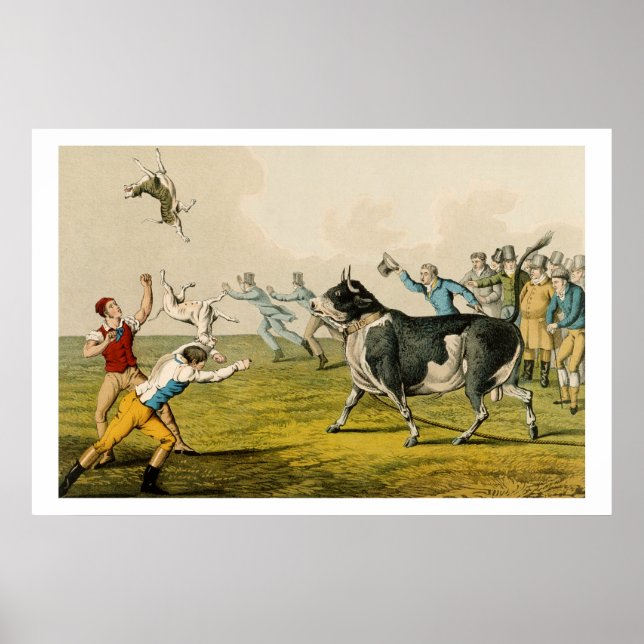 Póster 'Bull Baiting', pub. por Thomas McLean, 1820, (pri (Frente)